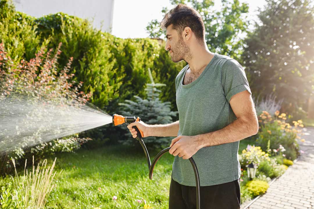 récuperation eaux de pluie arrosage jardin